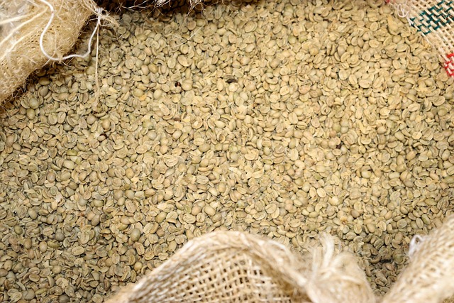 choisir café en grain