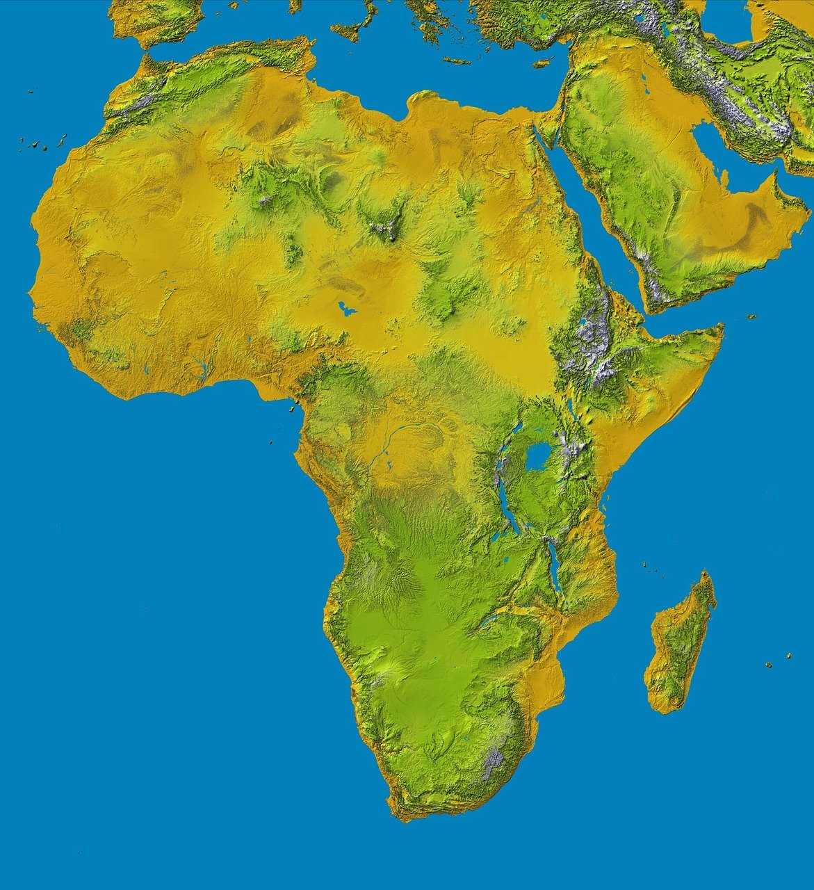 afrique