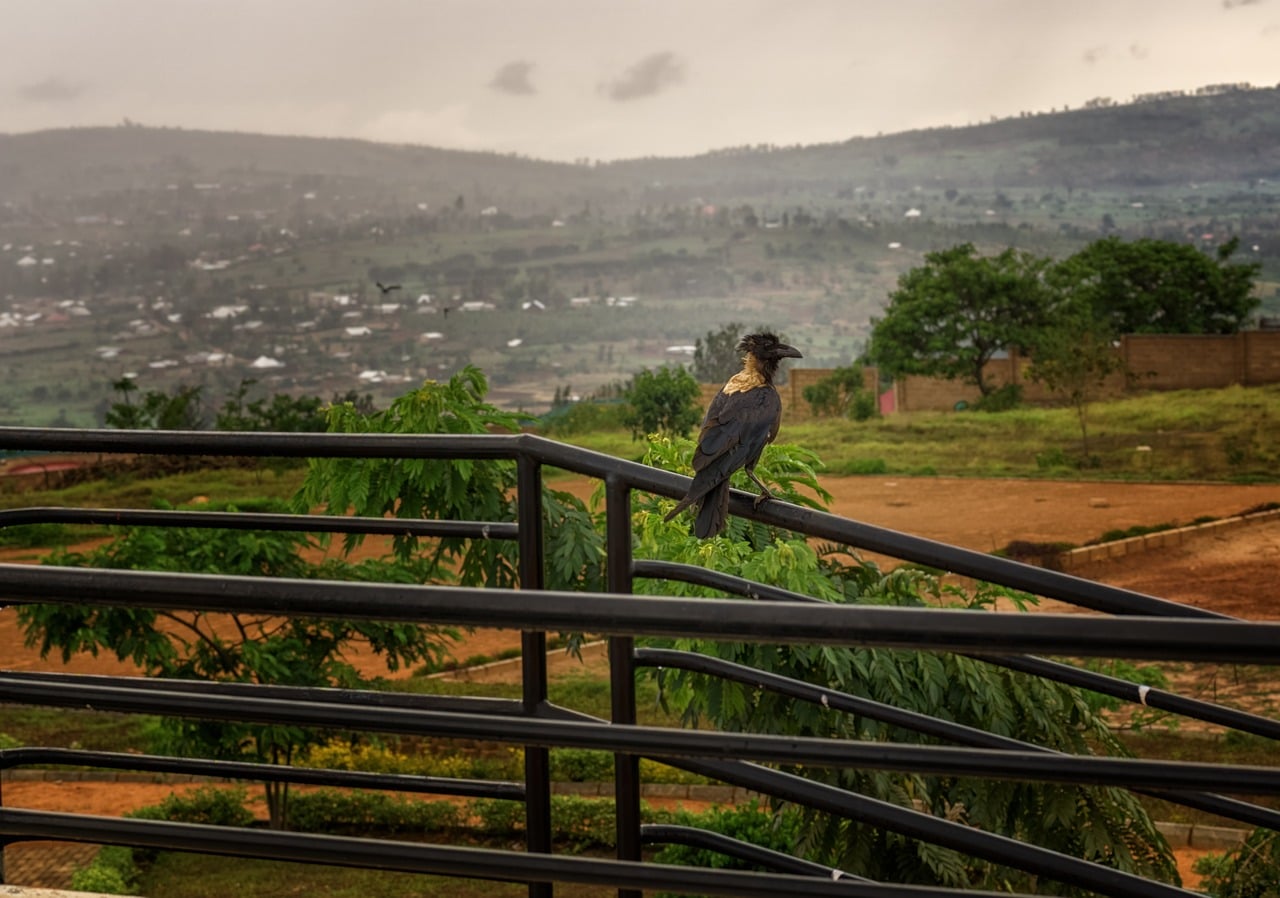 rwanda